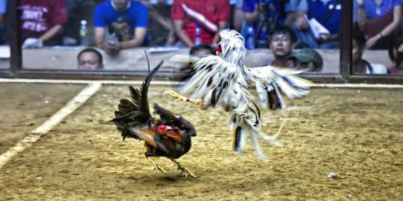 333win ﻿đăng nhập lô đề uy tín