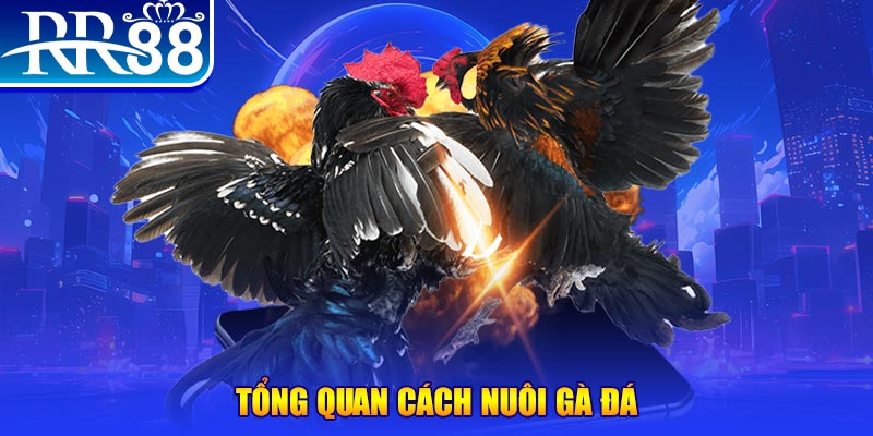 333win xổ số thứ ba