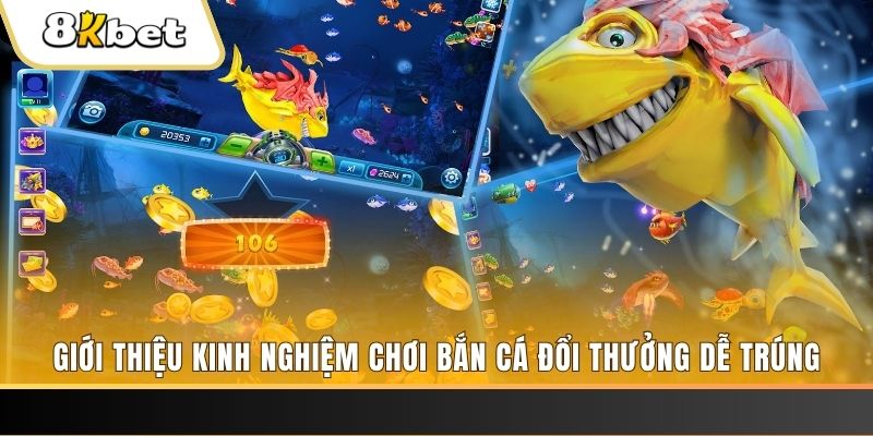 333win xổ số miền bắc hôm