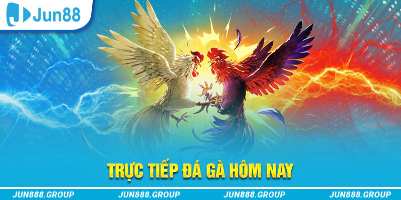 333win trực tiếp đá gà thomo