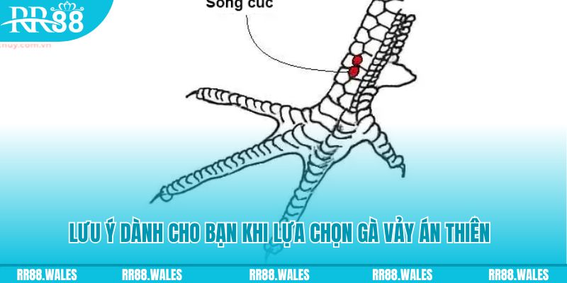 333win xổ số khánh hòa