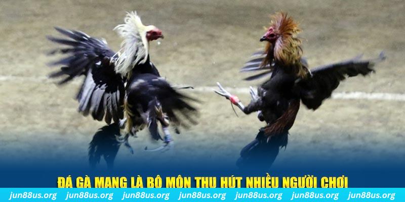 333win xổ số long an