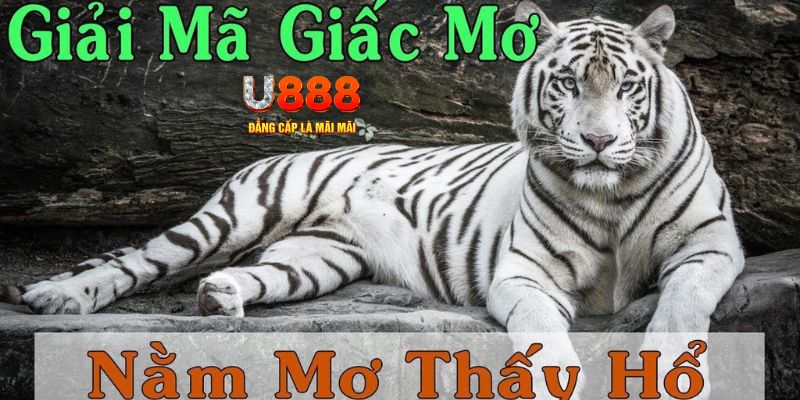 333win Bài Poker Joker