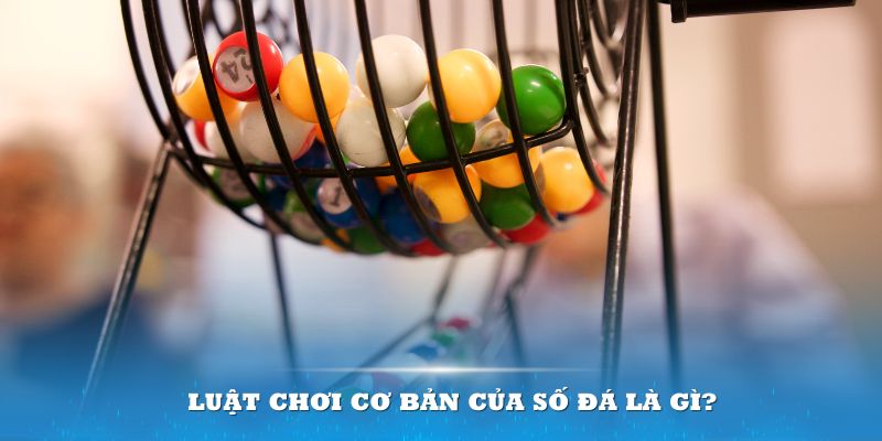 333win Đĩa màu ace
