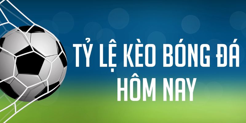333win ÁT CHỦ MÁY HOA QUẢ THẦN TÀI