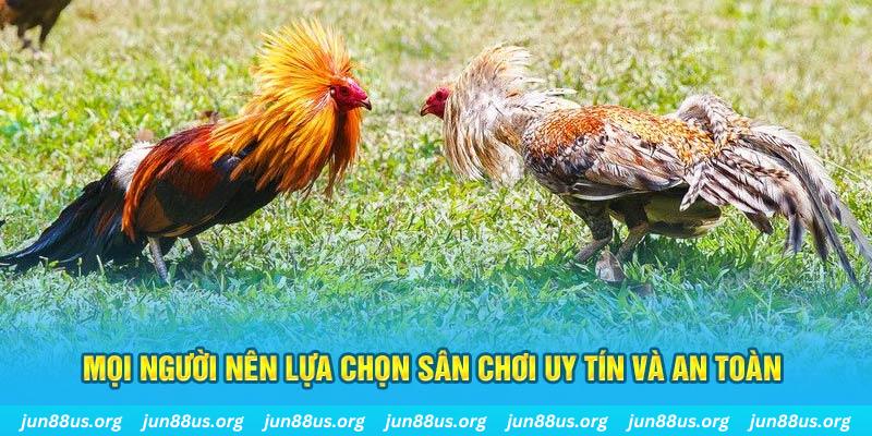 333win Tài Xỉu