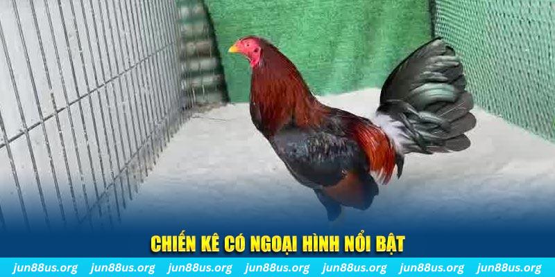 333win nhạc slot là gì
